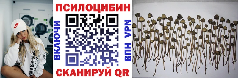 Псилоцибиновые грибы ЛСД  Котово 